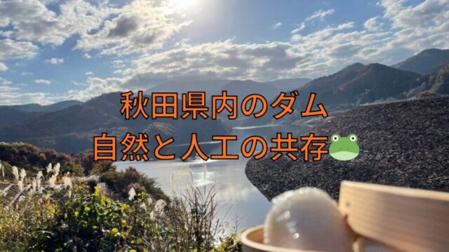秋田県内のダム　自然と人工の共存🐸