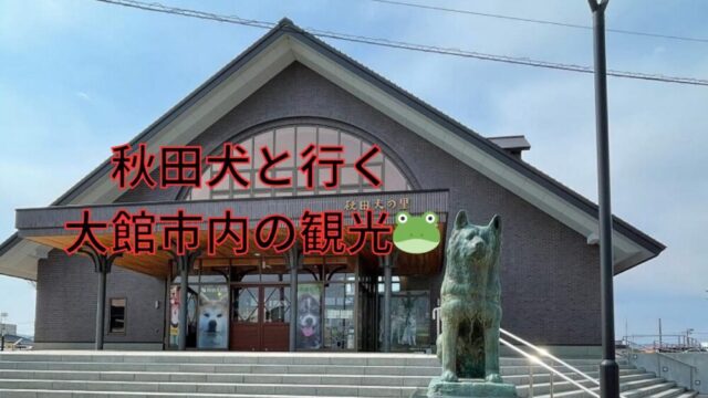 秋田犬と行く大館市内の観光🐸