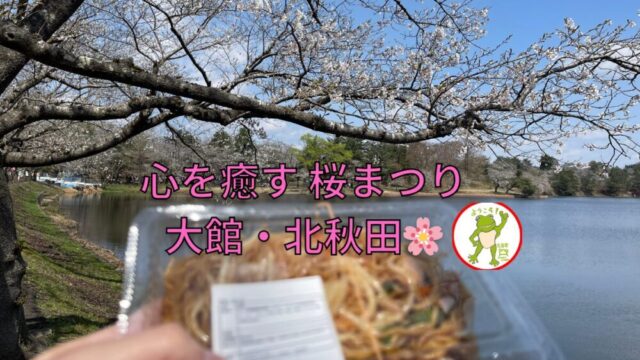 心を癒す 桜まつり 大館・北秋田🌸🐸
