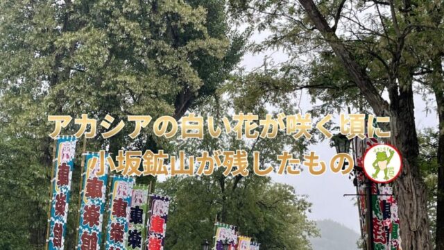 アカシアの白い花が咲く頃に 小坂鉱山が残したもの🌼🐸
