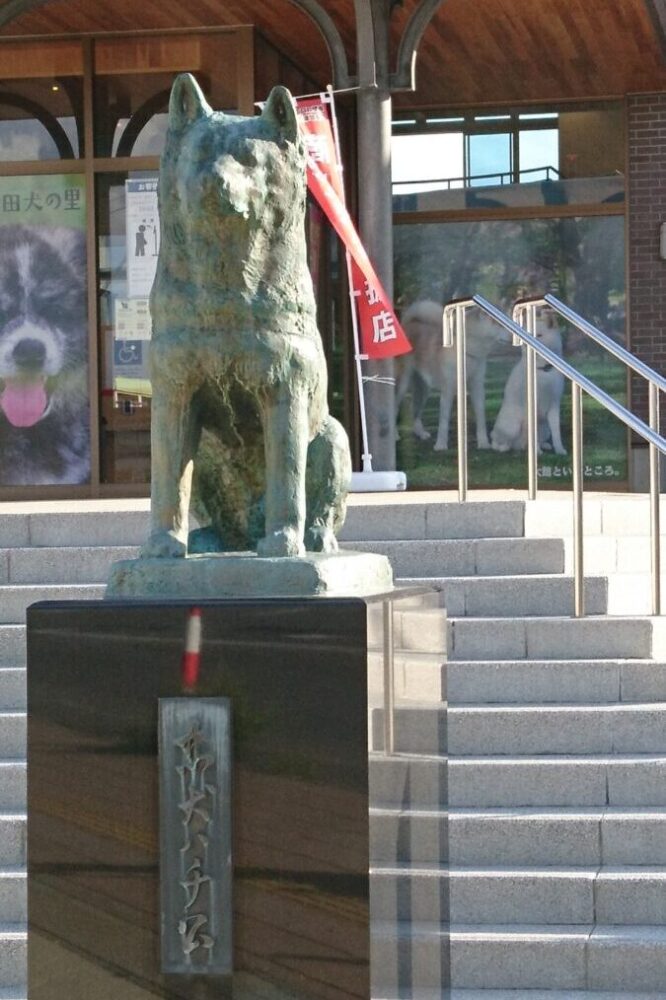 2020.9.22. 秋田犬の里　忠犬ハチ公像　写真